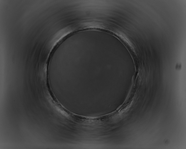 X0000091490790200708301935