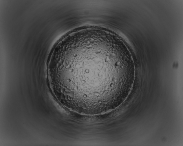 X0000091490791200708301935