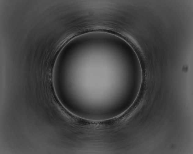 X0000091490793200708301935