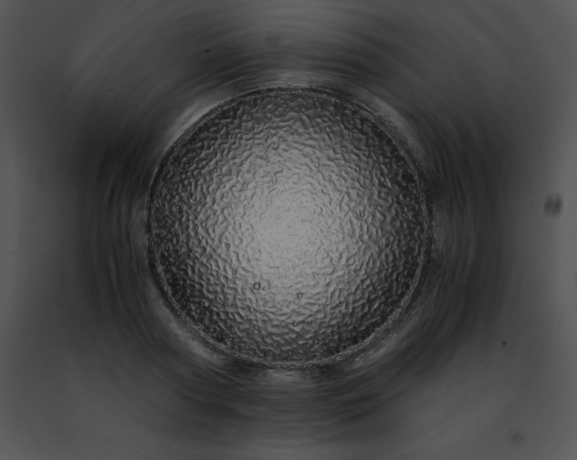 X0000091490794200708301935