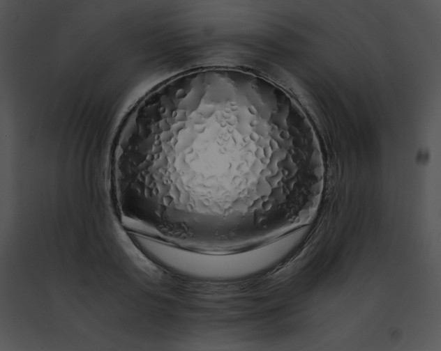 X0000091490795200708301935