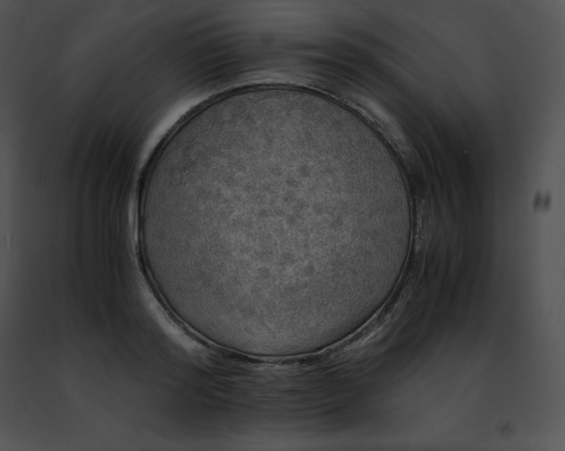 X0000091490796200708301935