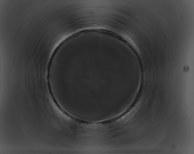 X0000091490797200708301935