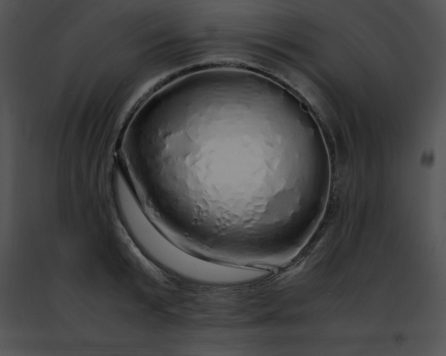 X0000091490799200708301935