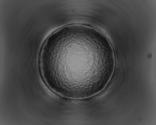 X0000091490803200708301935