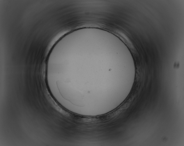 X0000091490804200708301935