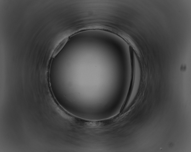 X0000091490805200708301935