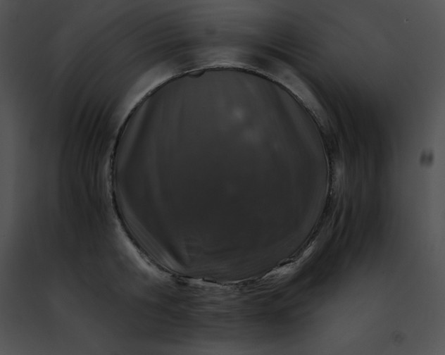 X0000091490806200708301935