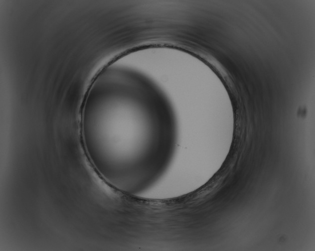 X0000091490807200708301935