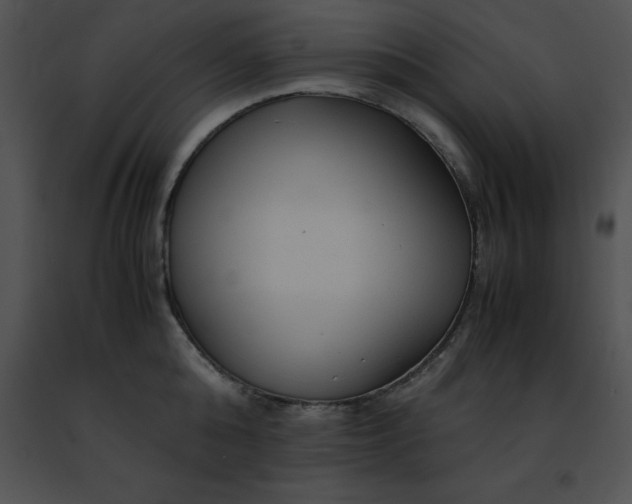 X0000091490808200708301935