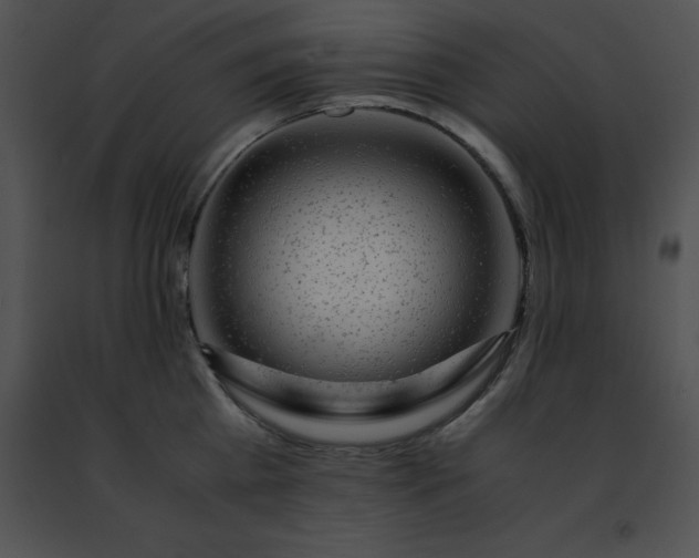 X0000091490809200708301935