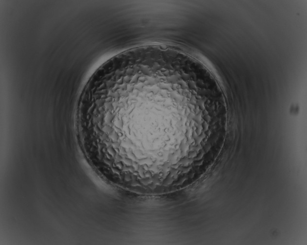 X0000091490811200708301935