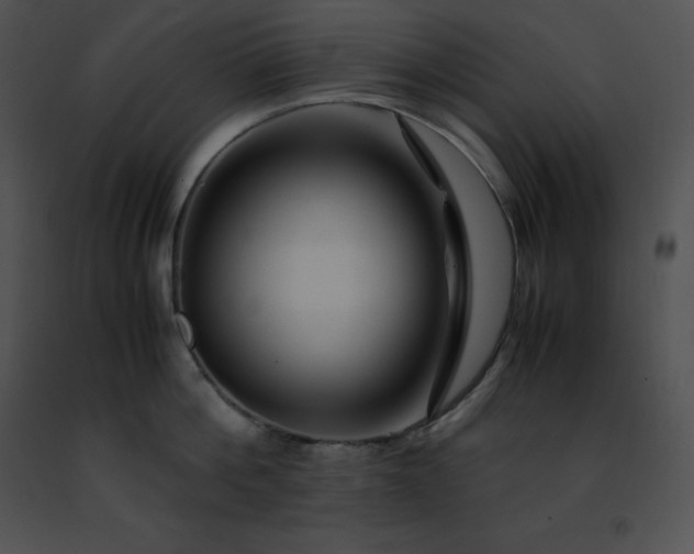 X0000091490812200708301935