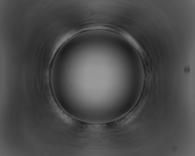 X0000091490813200708301935