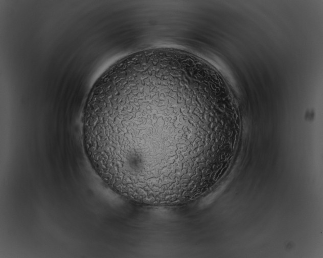 X0000091490814200708301935