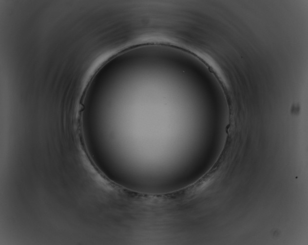 X0000091490815200708301935