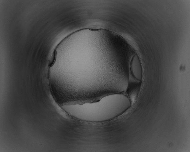 X0000091490816200708301935