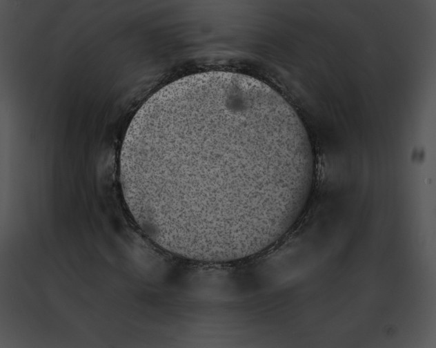 X0000091490820200708301934