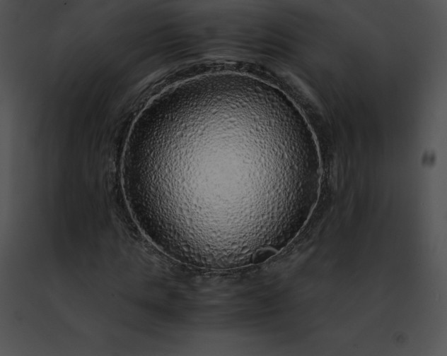 X0000091490821200708301934