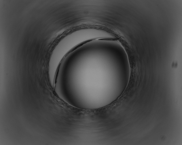 X0000091490822200708301934