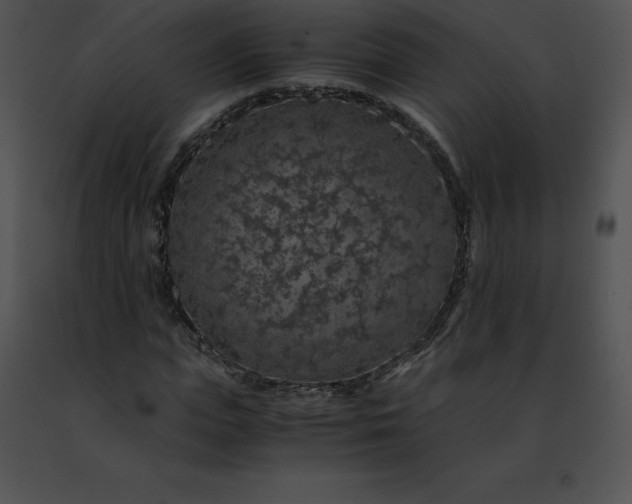 X0000091490823200708301934