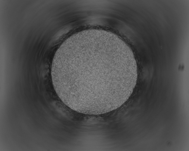 X0000091490824200708301934