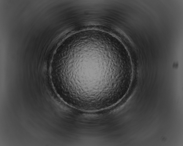 X0000091490825200708301934