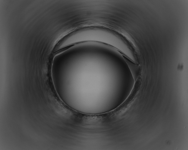 X0000091490826200708301934