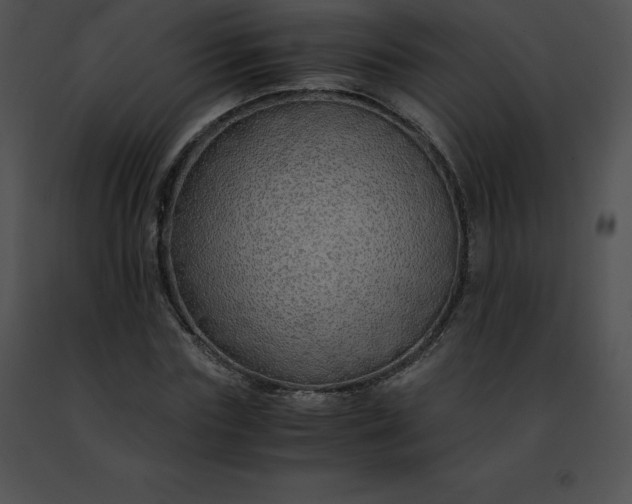 X0000091490827200708301934