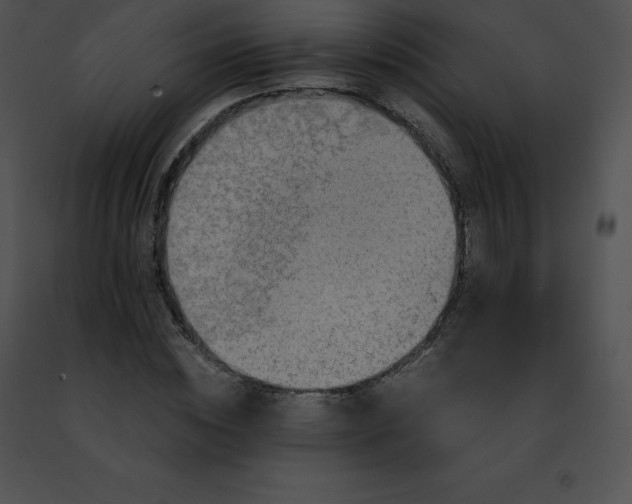 X0000091490828200708301934