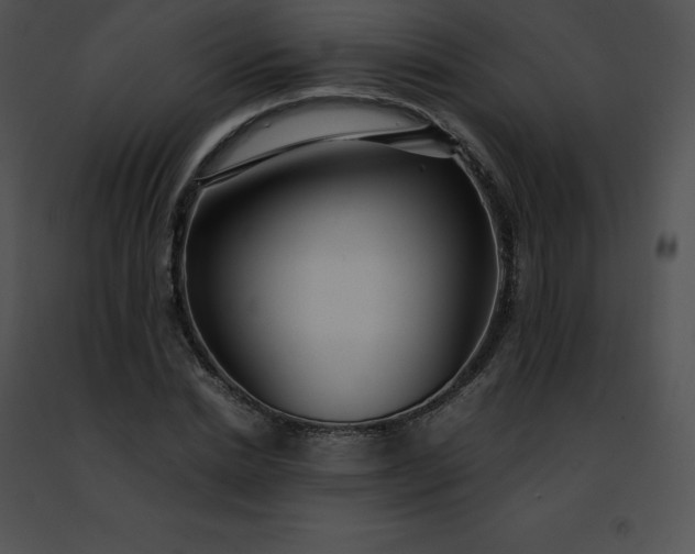 X0000091490830200708301934