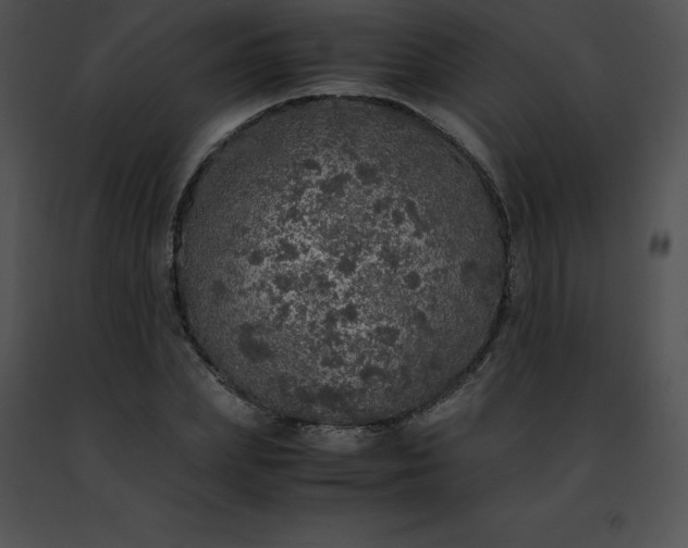 X0000091490831200708301934