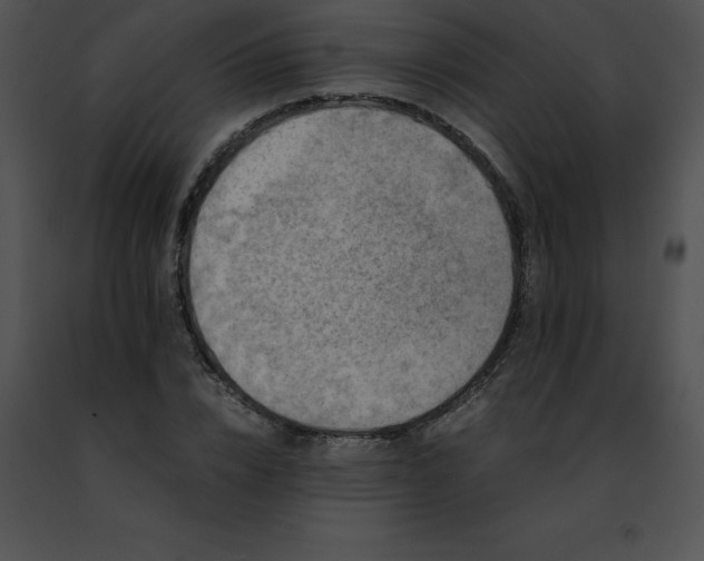 X0000091490832200708301934