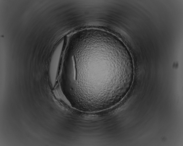 X0000091490833200708301934