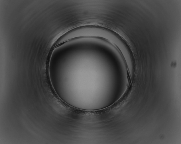 X0000091490834200708301934