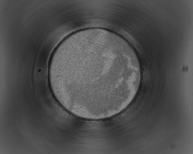 X0000091490836200708301934