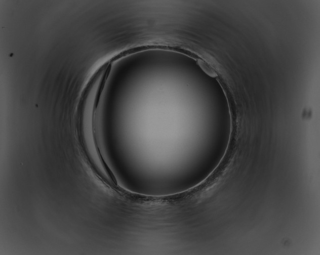 X0000091490838200708301934