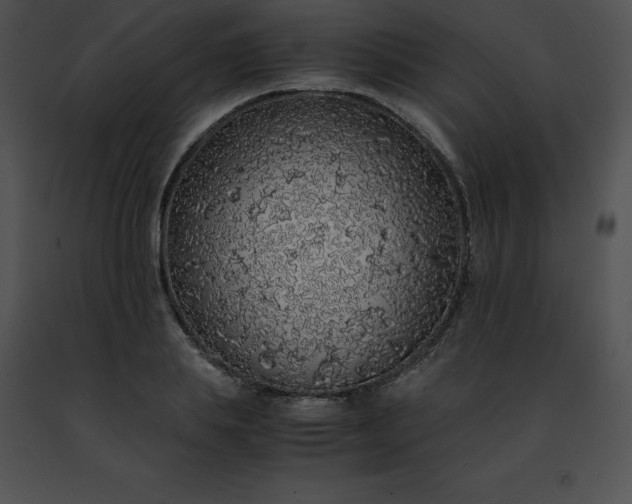 X0000091490839200708301934