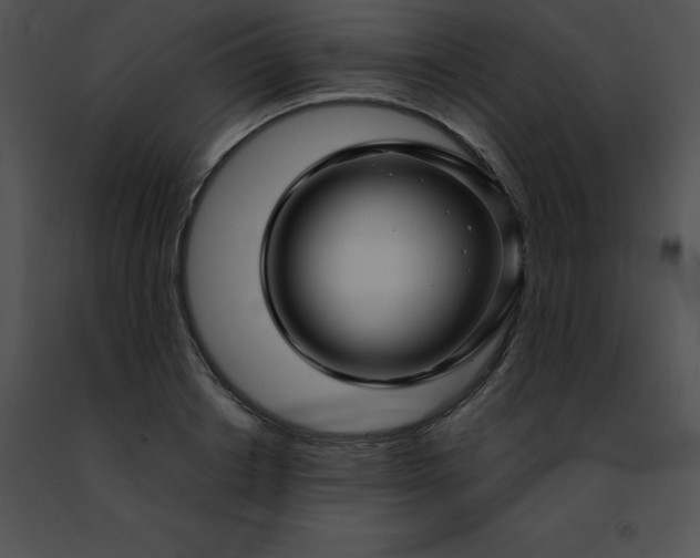 X0000091490842200708301934