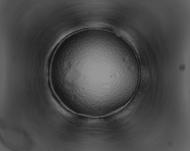 X0000091490843200708301934