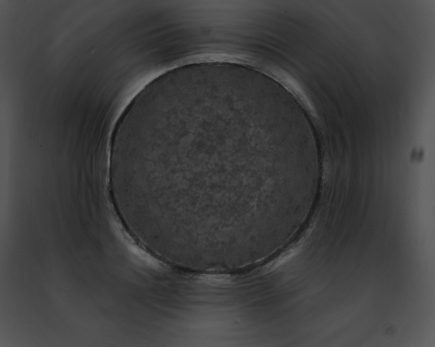 X0000091490844200708301934