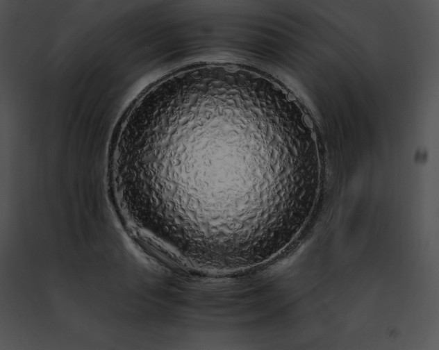 X0000091490845200708301934