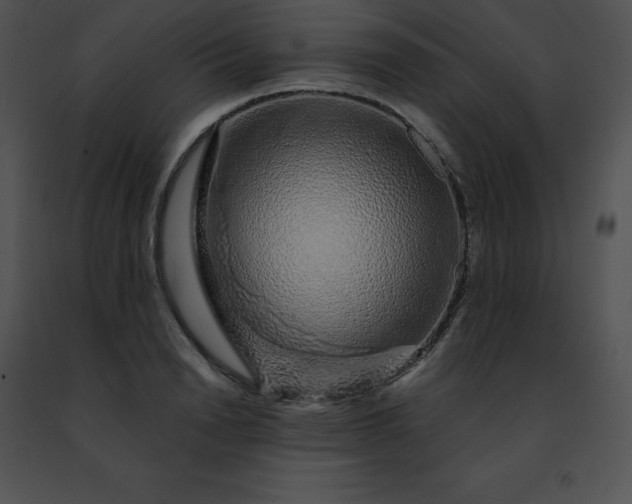 X0000091490846200708301934