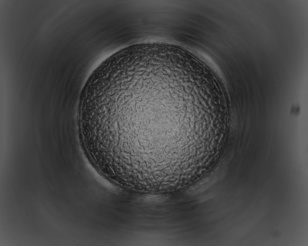 X0000091490847200708301934