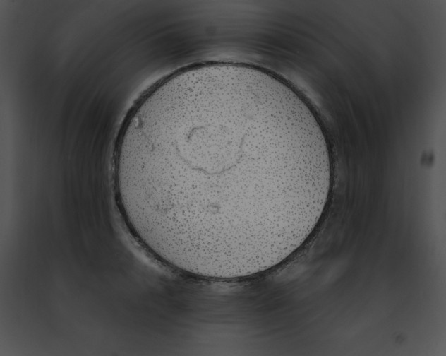 X0000091490848200708301934