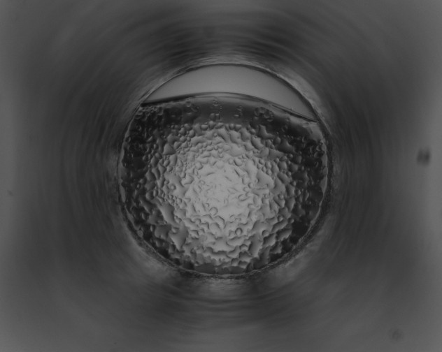 X0000091490849200708301934