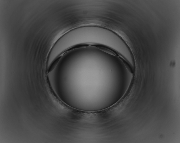 X0000091490850200708301934