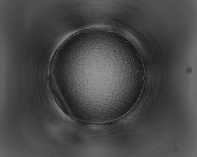 X0000091490852200708301934