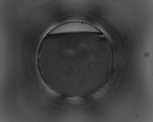 X0000091490853200708301934