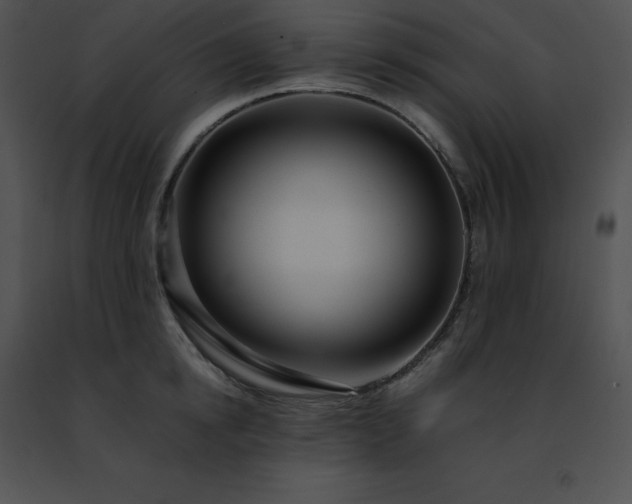 X0000091490854200708301934